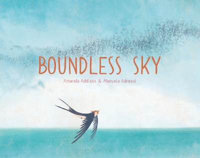 Book cover for Boundless Sky