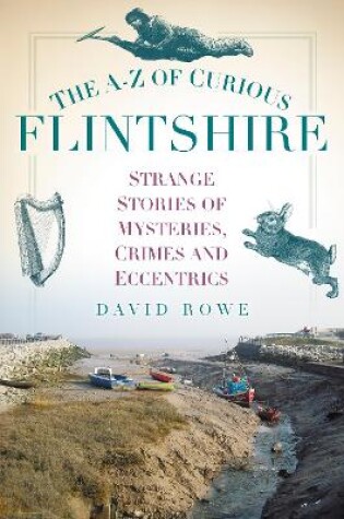 Cover of The A-Z of Curious Flintshire