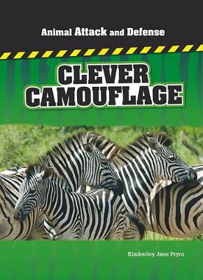 Book cover for Us Aa&D Clever Camouflage