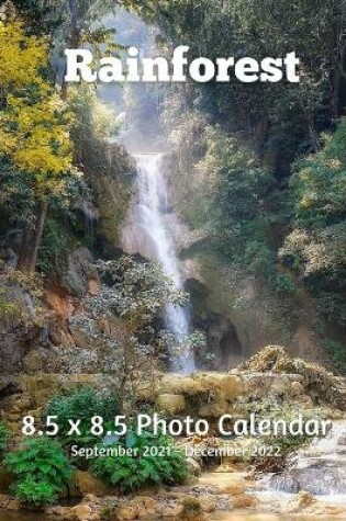 Cover of Rainforest 8.5 X 8.5 Calendar September 2021 -December 2022