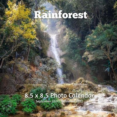 Book cover for Rainforest 8.5 X 8.5 Calendar September 2021 -December 2022