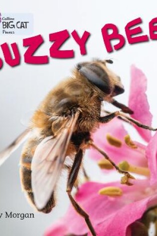 Cover of Buzzy Bees