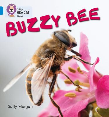 Book cover for Buzzy Bees