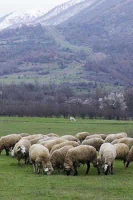 Book cover for Sheep Grazing in Bulgaria Journal