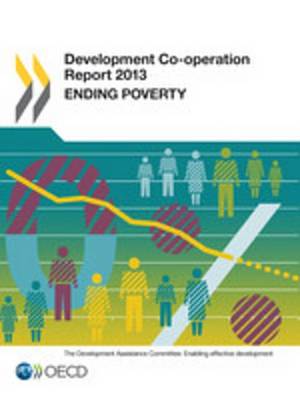 Book cover for Development Co-Operation Report 2013