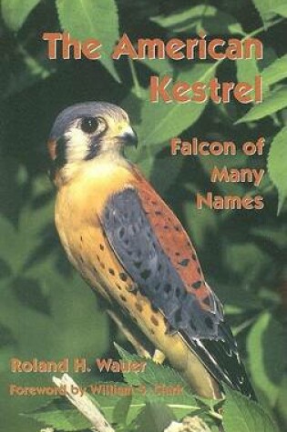 Cover of The American Kestrel