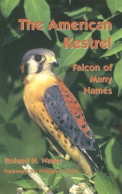 Book cover for The American Kestrel