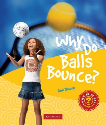 Book cover for Why Do Balls Bounce?