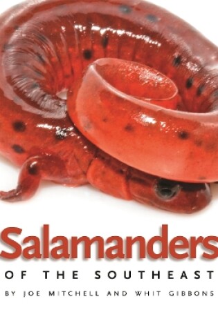 Cover of Salamanders of the Southeast