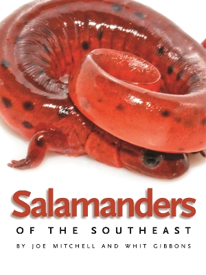 Book cover for Salamanders of the Southeast