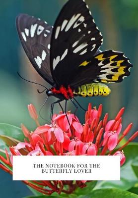 Book cover for The Notebook for the Butterfly Lover