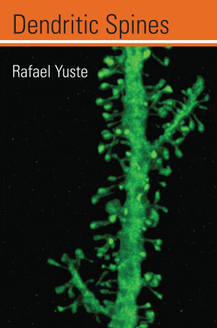 Cover of Dendritic Spines