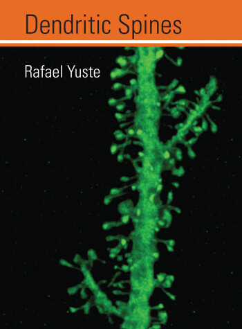 Book cover for Dendritic Spines