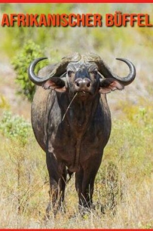 Cover of Afrikanischer Büffel