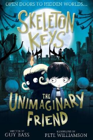 Cover of The Unimaginary Friend