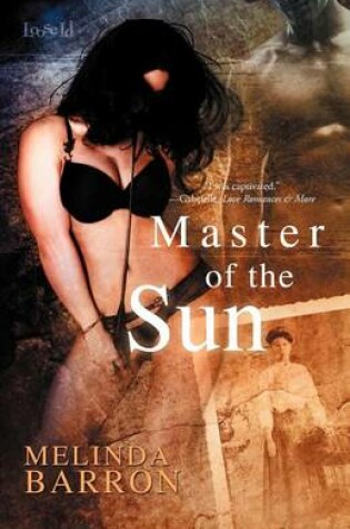 Cover of Master of the Sun
