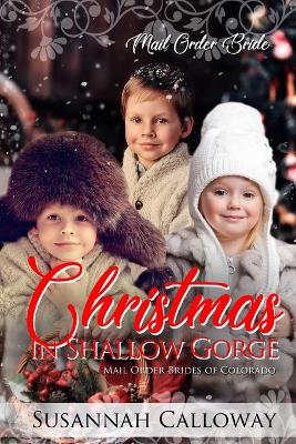 Book cover for Christmas in Shallow Gorge