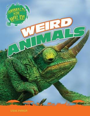 Book cover for Weird Animals