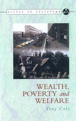 Book cover for Wealth, Income and Welfare