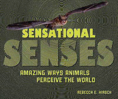 Book cover for Sensational Senses