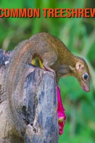 Cover of Common Treeshrew