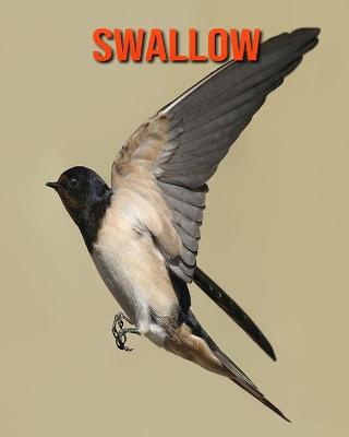 Book cover for Swallow