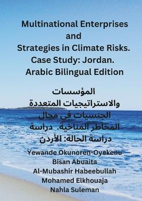 Book cover for Multinational Enterprises and Strategies in Climate Risks. Case Study