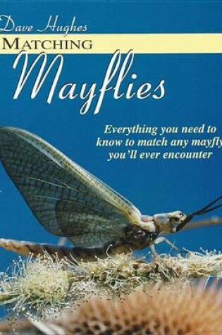 Cover of Matching Mayflies