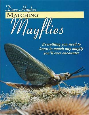 Book cover for Matching Mayflies