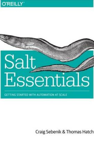 Cover of Salt Essentials