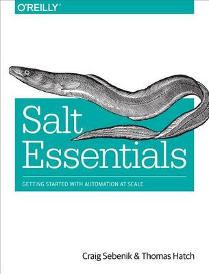 Book cover for Salt Essentials