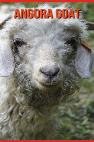 Cover of Angora Goat