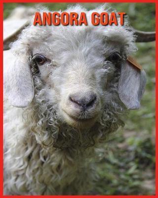 Book cover for Angora Goat