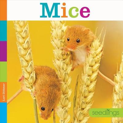 Cover of Mice