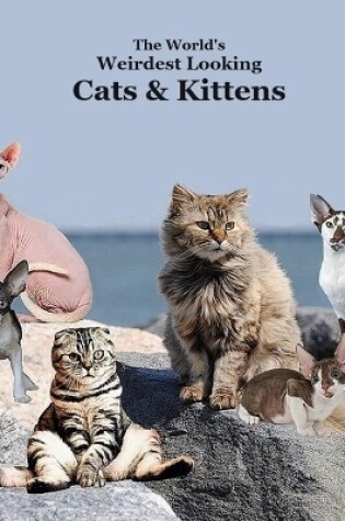 Cover of World's Weirdest Looking Cats and Kittens Kids Book