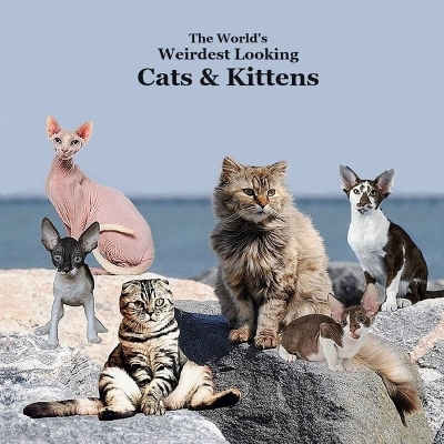 Book cover for World's Weirdest Looking Cats and Kittens Kids Book