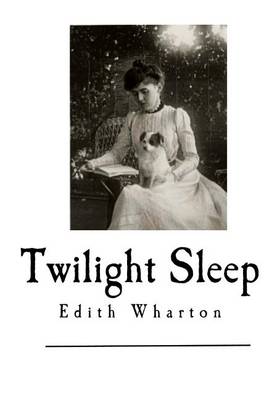 Book cover for Twilight Sleep