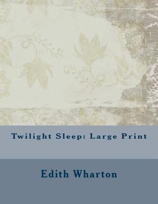 Book cover for Twilight Sleep