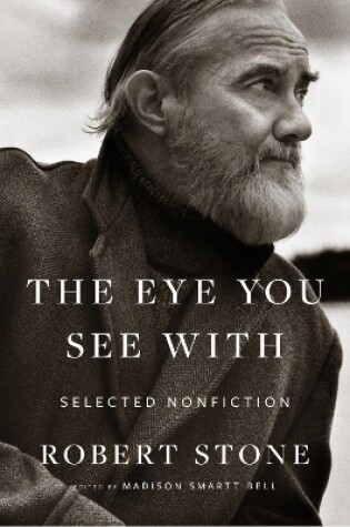 Cover of The Eye You See with