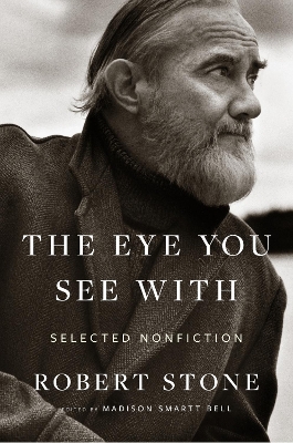 Book cover for The Eye You See with