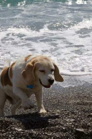 Cover of A Beagle at the Beach Journal