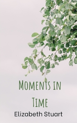 Book cover for Moments in Time