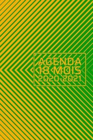 Cover of Agenda 2020 - 2021 18 Mois