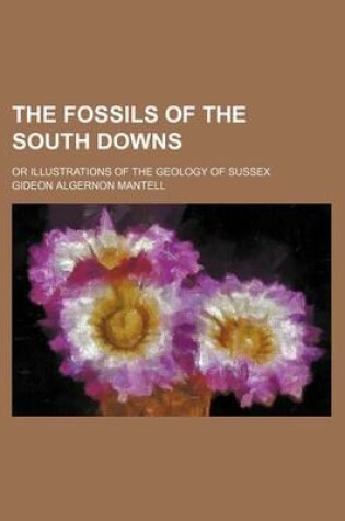 Cover of The Fossils of the South Downs; Or Illustrations of the Geology of Sussex