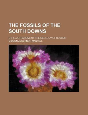 Book cover for The Fossils of the South Downs; Or Illustrations of the Geology of Sussex