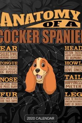 Book cover for Anatomy Of A Cocker Spaniel