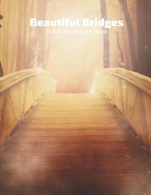 Book cover for Beautiful Bridges Full-Color Picture Book