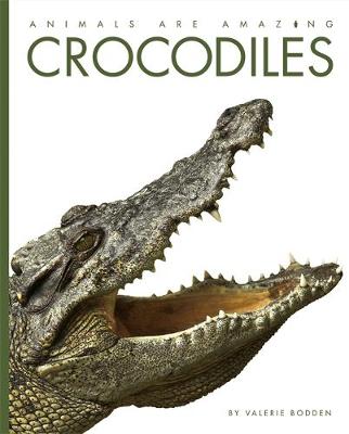 Book cover for Crocodiles