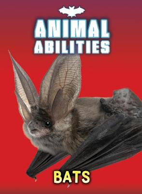 Book cover for Bats