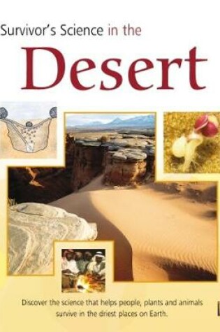 Cover of In The Desert